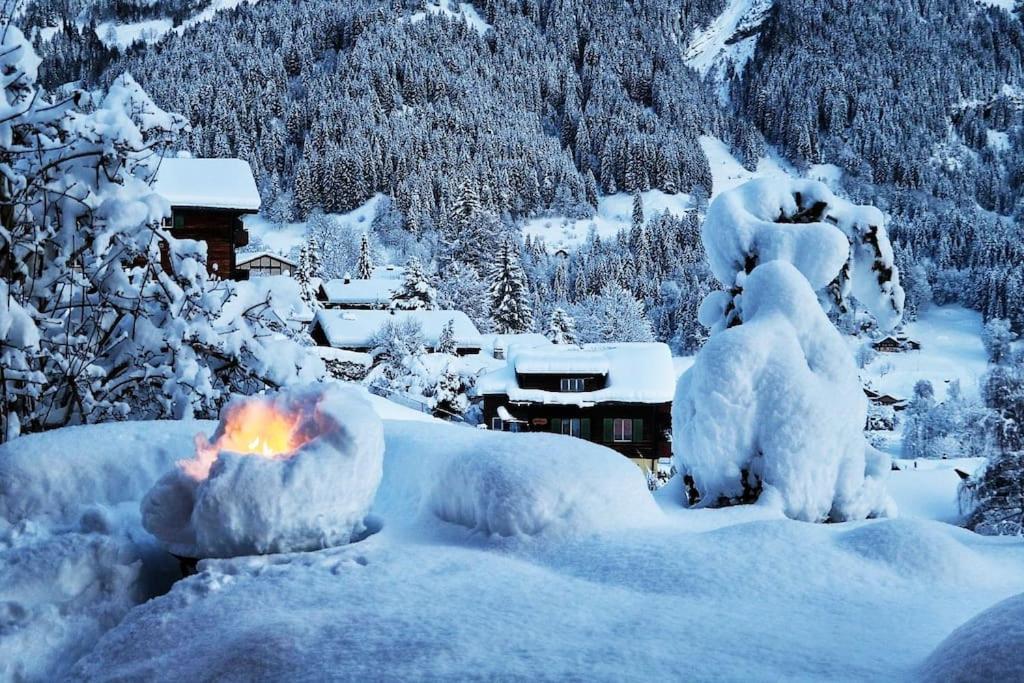 Chalet Morgane กรินเดลวัลด์ ภายนอก รูปภาพ